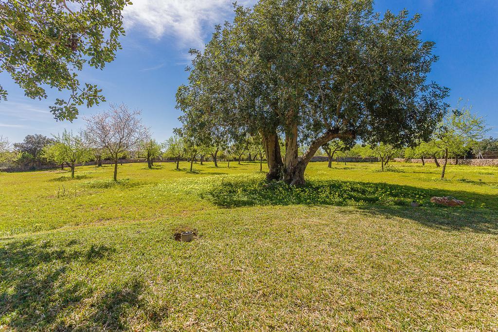 Finca Sa Foradada Cala d'Or  Bagian luar foto